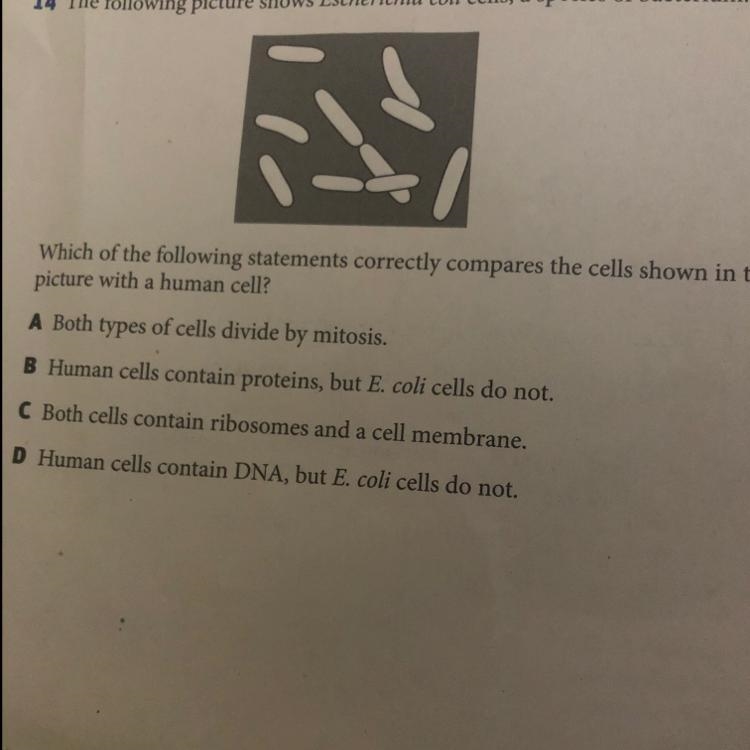 Can someone help me?-example-1