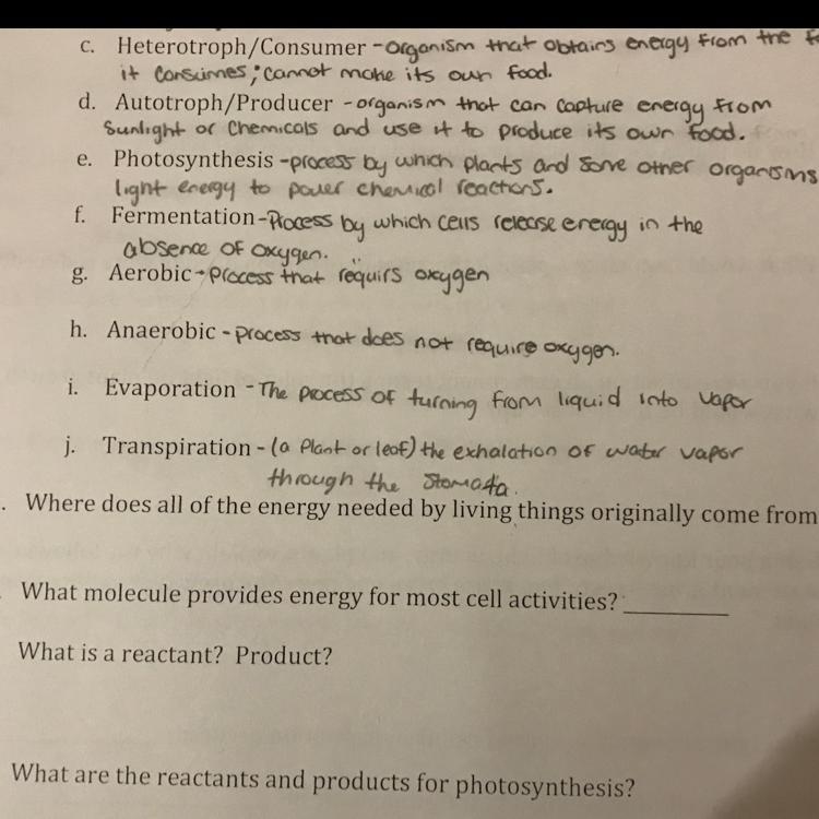 Where does all of the energy needed by living things originally come from-example-1