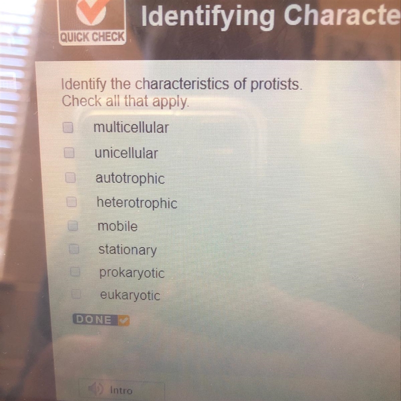 Identify the characteristics of protists-example-1