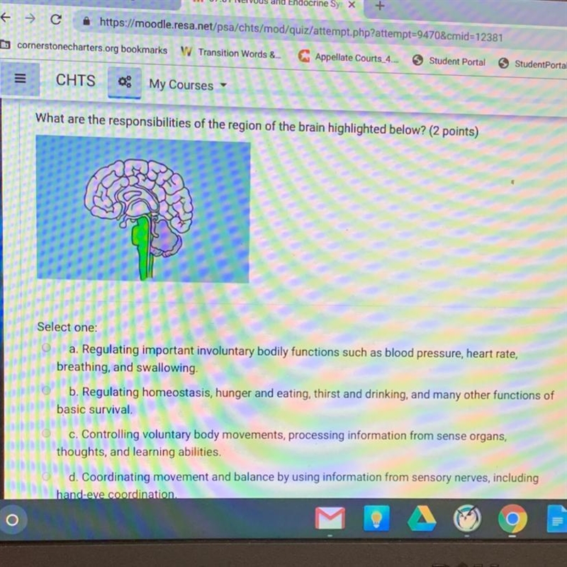 What are the responsibilities of the region of the brain highlighted below? (2 points-example-1