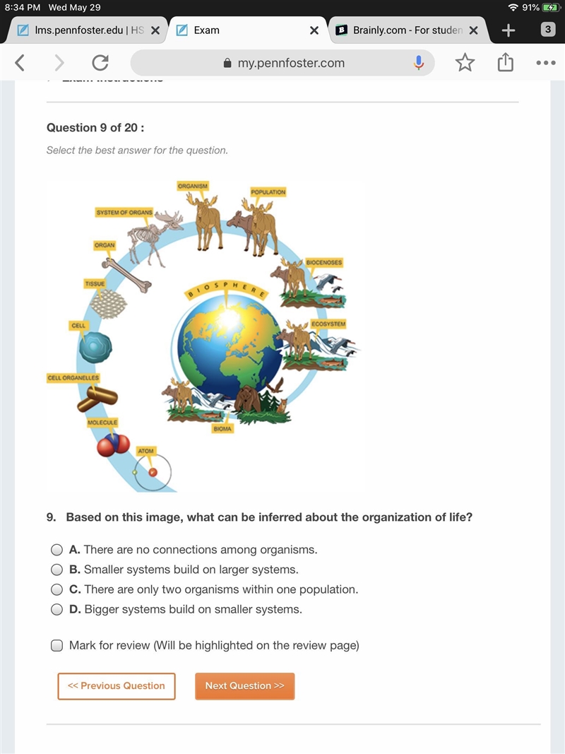 Based on this image, what can be inferred about the organization of life?-example-1