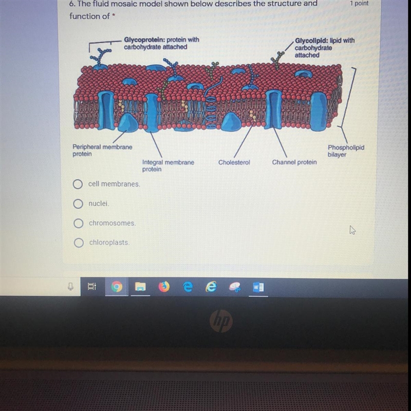 Please help!!! thank you-example-1