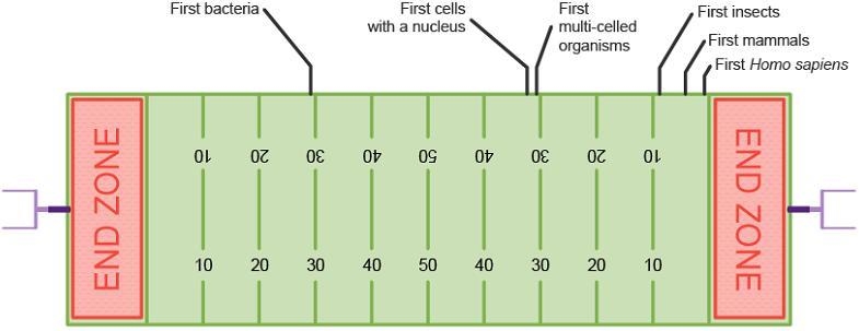 The diagram shows a football field that represents a geological time scale. Why are-example-1