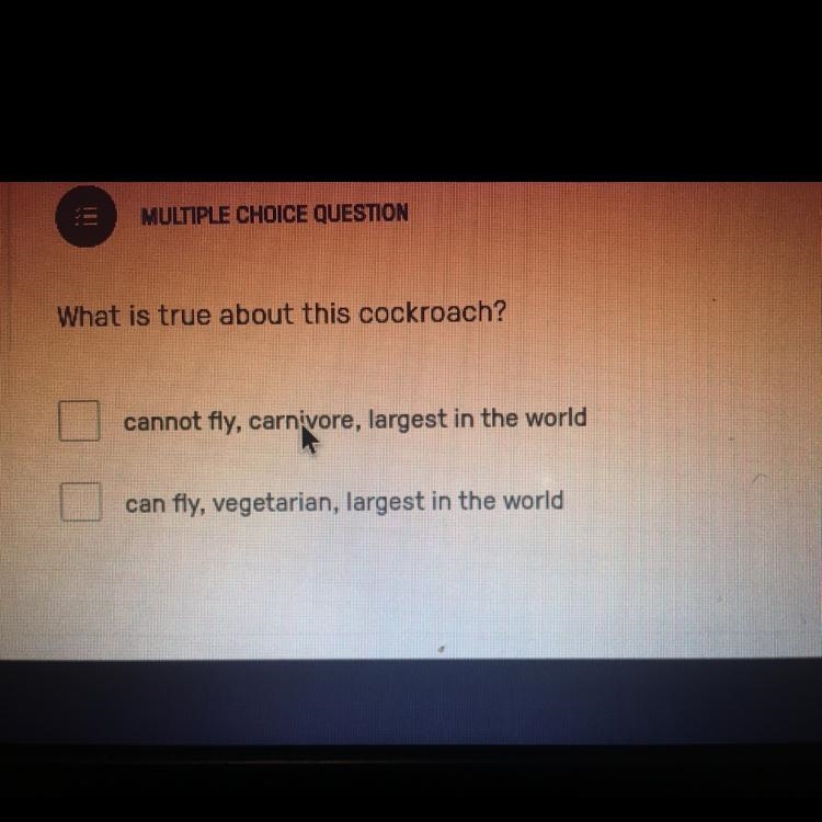 What is true about cockroach? A. Cannot fly, carnivore, largest in the world. B. Can-example-1