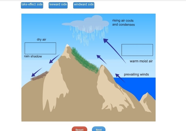 Drag each label to the correct location on the image. Not all labels will be used-example-1