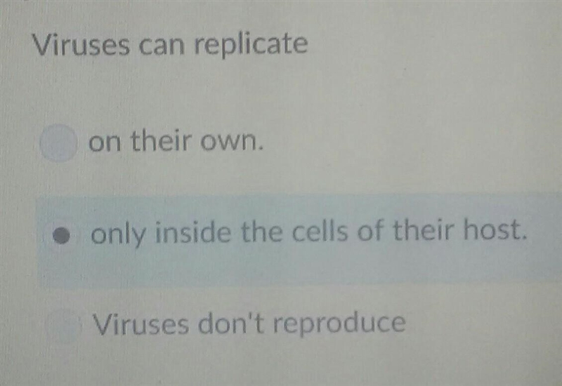 Viruses can replicate_____?-example-1