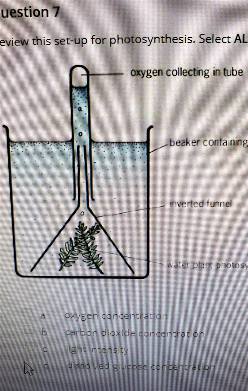 review the setup for photosynthesis select all primary limiting factors that impact-example-1