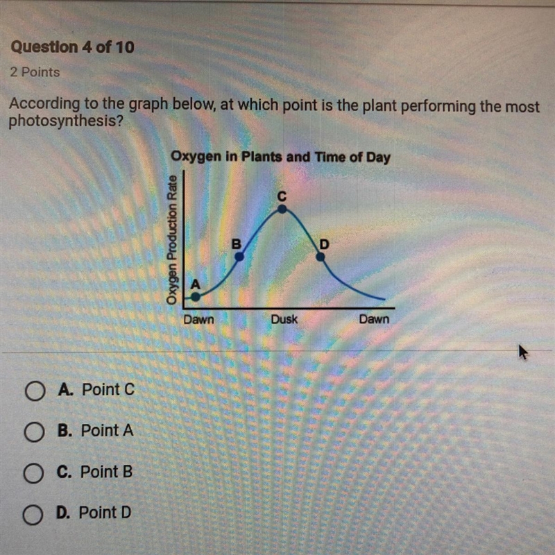 According to the graph below, at which point is the plant performing the most photosynthesis-example-1