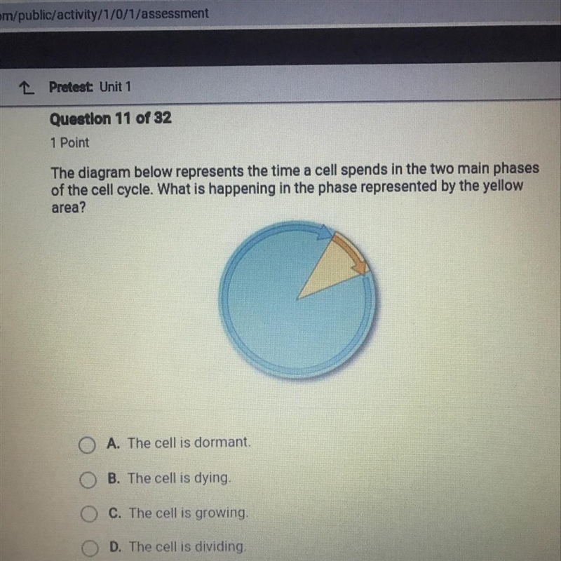 the diagram below represents the time a cell spends in the two main phases of the-example-1