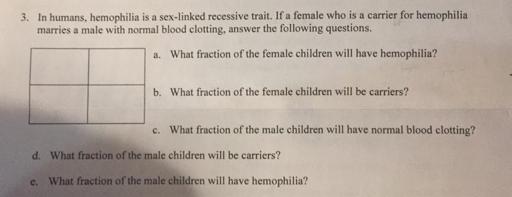 Solve this Sex-Linked traits practice problem-example-1