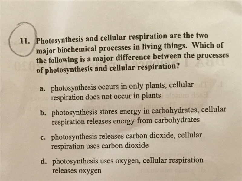 Can you guys please help me I have a test tomorrow-example-1