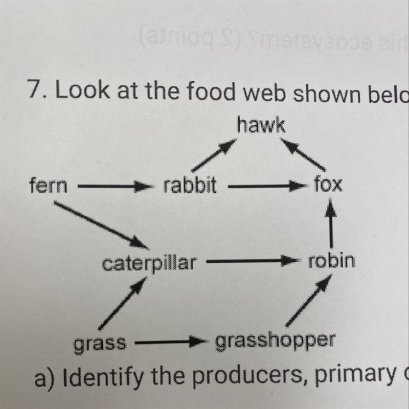 Identify the producers,primary consumers, and secondary consumers in this ecosystem-example-1