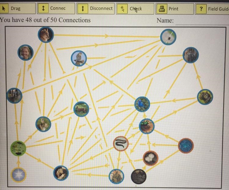 I have two connections letf to do for the food web, PLEASE SOMEONE TELL ME WHICH-example-1