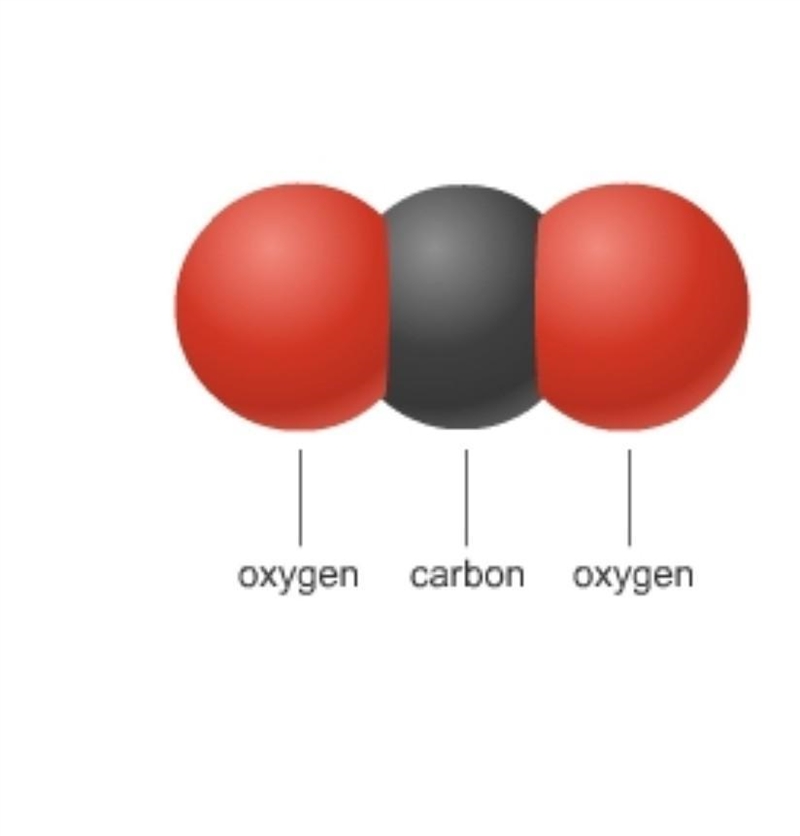 Please help ASAP! which type of bond does this molecule have?​-example-1