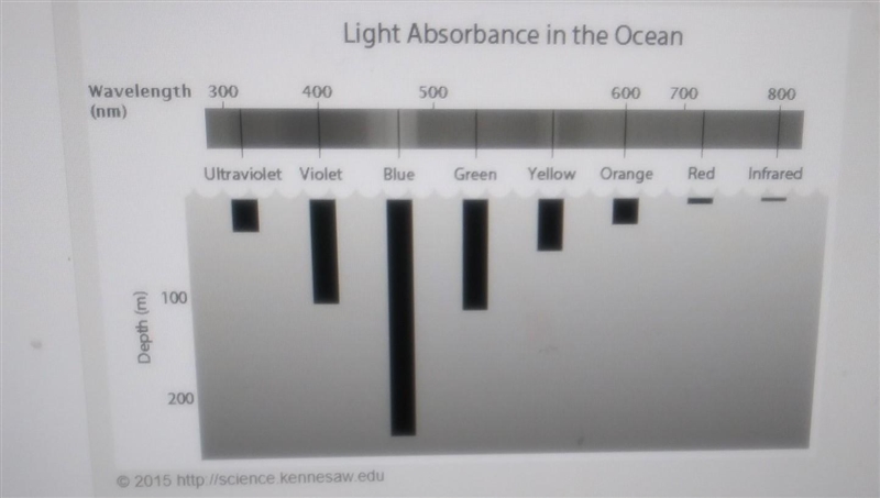 What color light would most likely be present at 200 meters below sea level and why-example-1