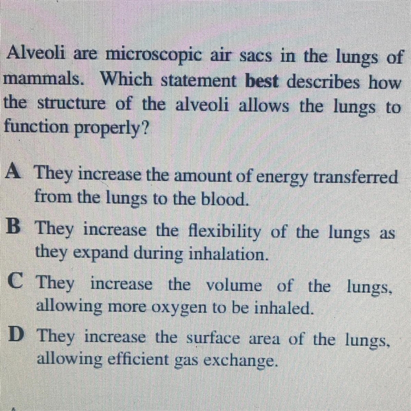 Please help me out with this-example-1