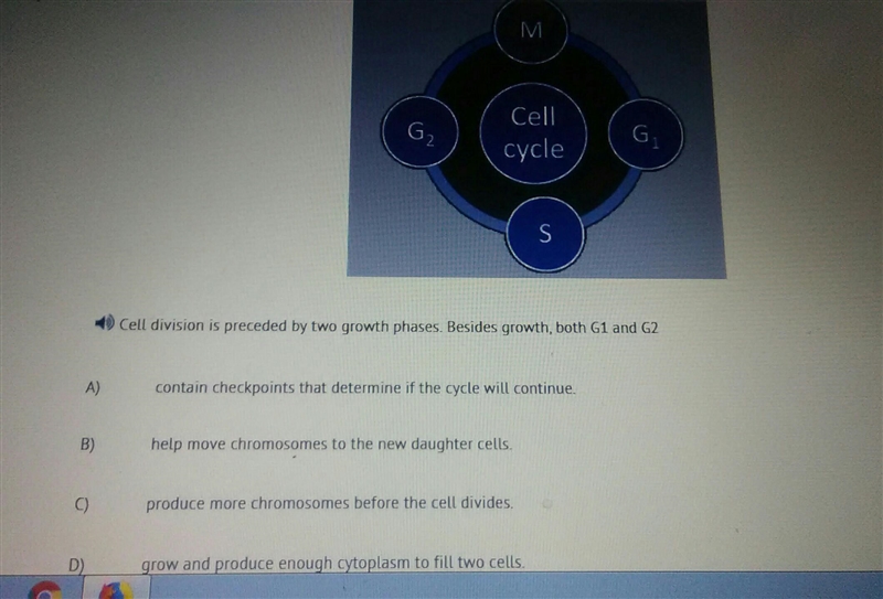 Can someone plz help me with this biology question, I don't understand it-example-1