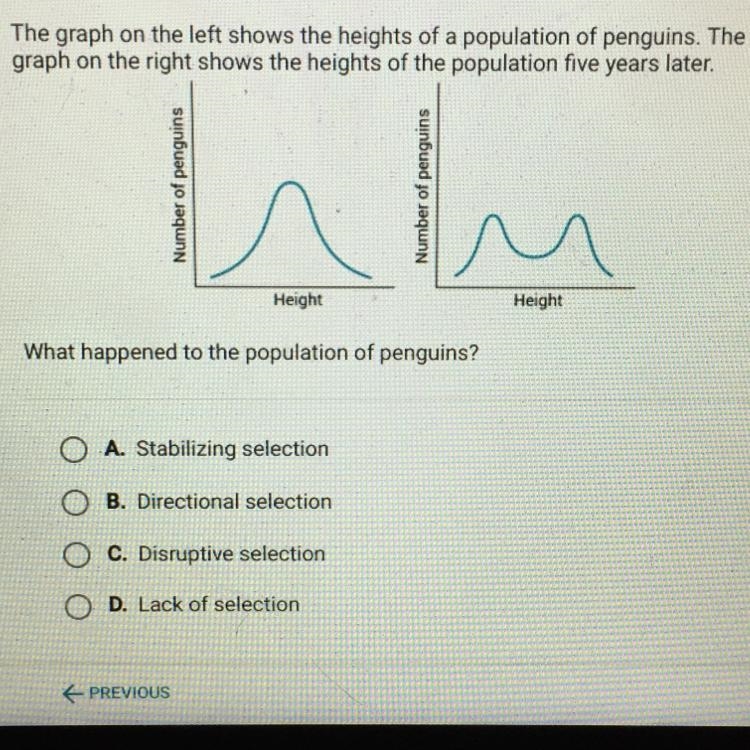 The graph on the left shows the heights of a population of penguins. The graph on-example-1