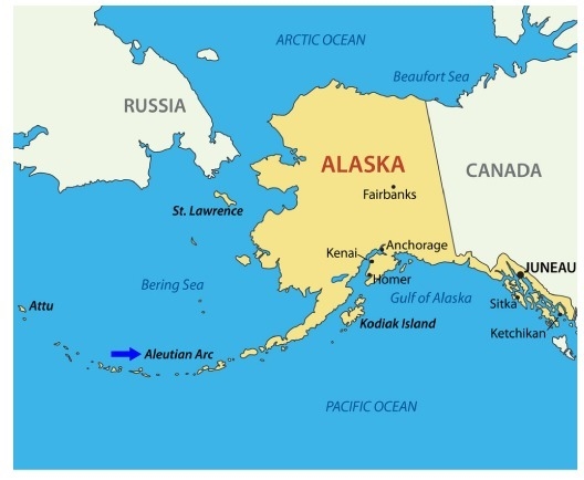 The map shows an island arc in Alaska named the Aleutian Arc. What does the arc suggest-example-1