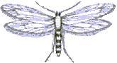 PLEASE HELP LAST QUESTION CAN GET WRONG OR I WONT PASS #1. Does the insect have wings-example-1