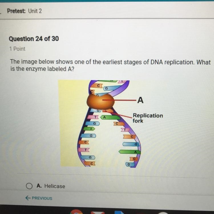 The image below shows one of the earliest stages of DNA replication. What is the enzyme-example-1