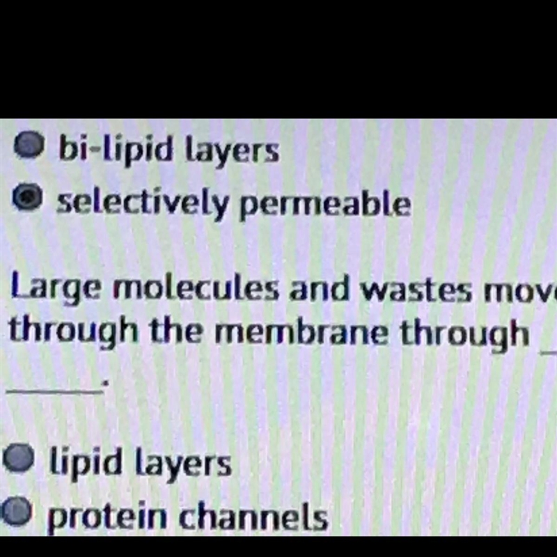 Large molecules and waste move through the membrane through?-example-1