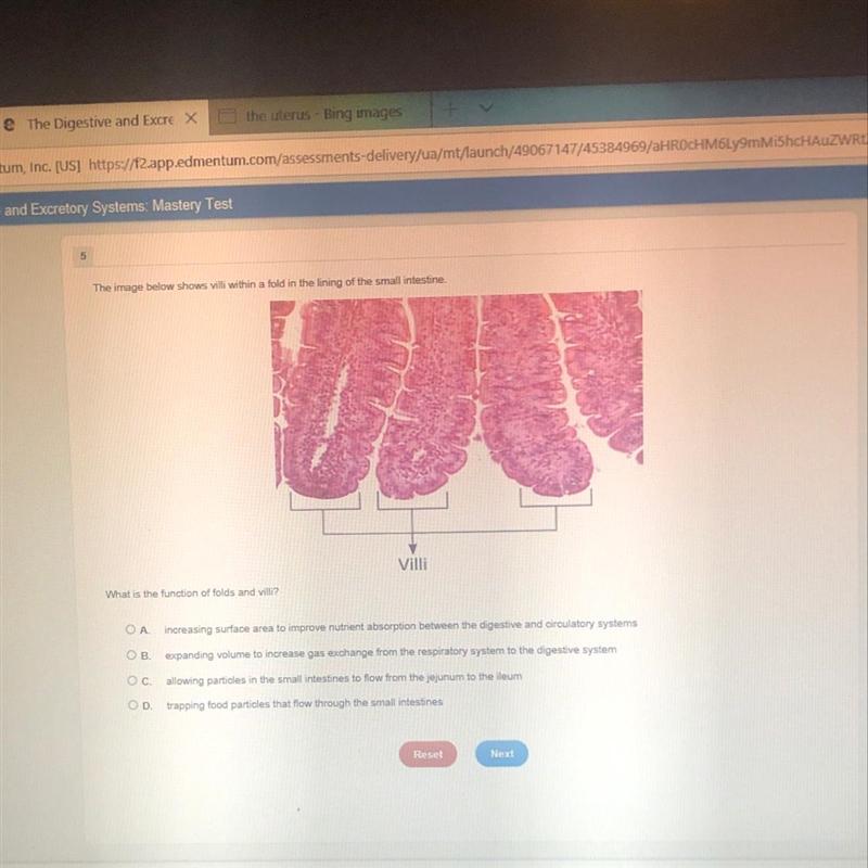 What is the function of fold and villi-example-1