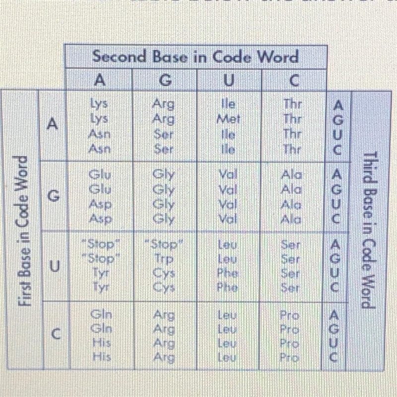 What is the amino acid sequence resulting from this section mRNA? UCU AGG GAC CCU-example-1