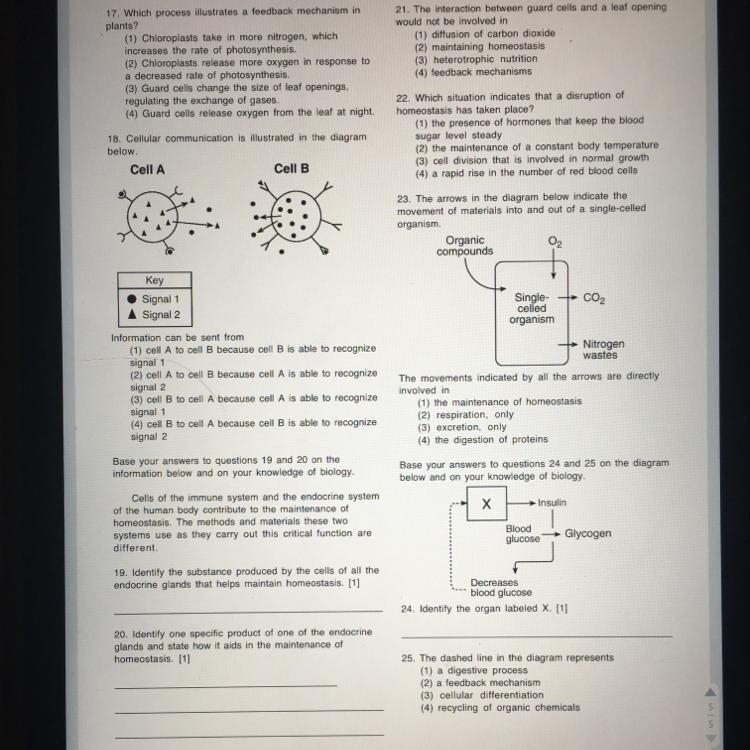 Another page... really need help ASAP-example-1