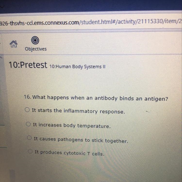 What happens when an antibody binds an antigen-example-1