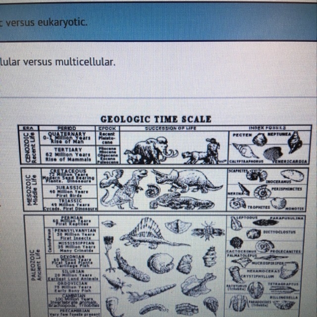 The image depicts A. The organisms have changed over time B. That the Cenozoic era-example-1