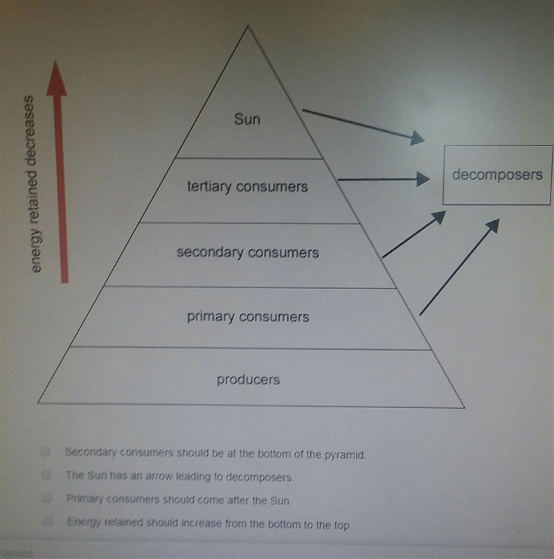 What's wrong with this ecological pyramid? (multiple choice) 1. Secondary consumers-example-1