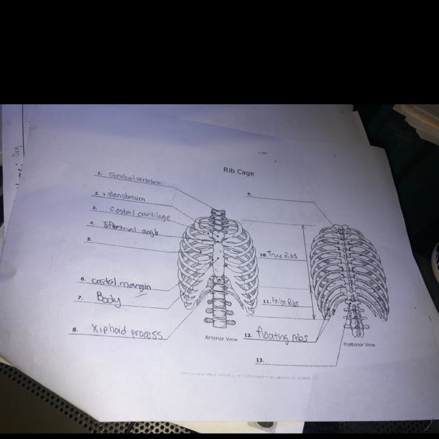 Please help on the last 3, 5 , 9, 13 and see if I’m right-example-1