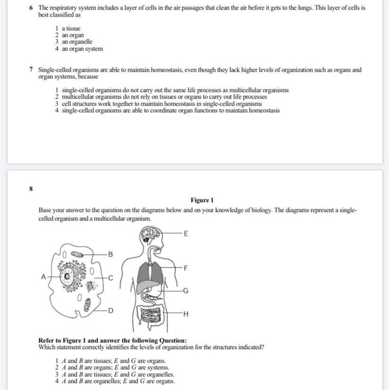 Please help me doctor I need help please help.-example-1