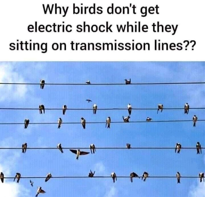 Why birds don’t get electric shock while they’re sitting on transmission lines??-example-1