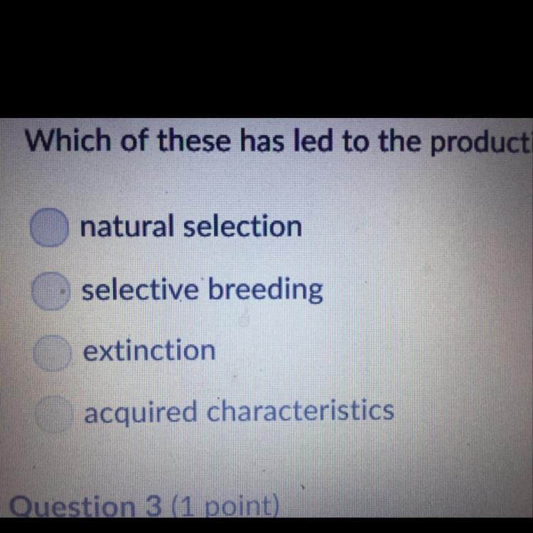 Which of these has led to the production of most modern domesticated crops and livestock-example-1