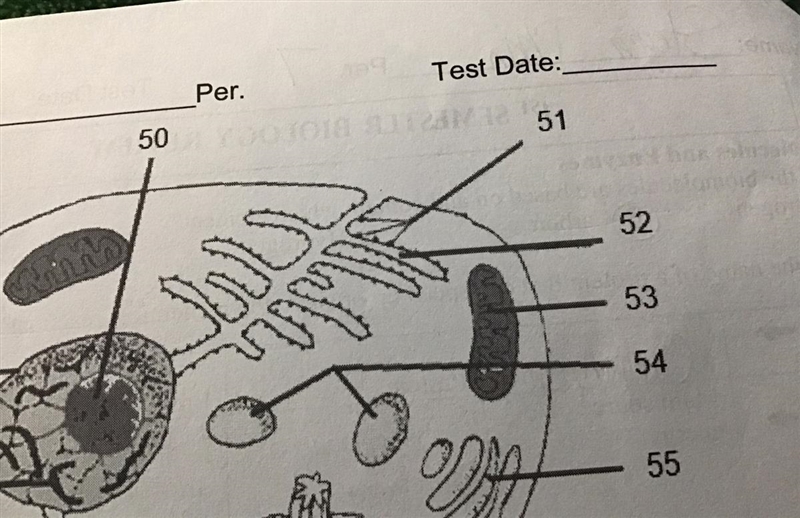 What would be 51 and 52?-example-1