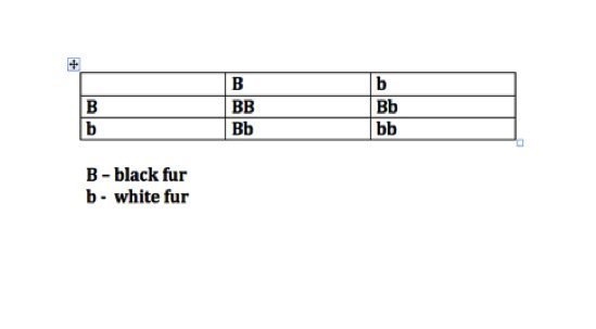 Thank you!! Drag the labels to the correct locations within the Punnett sqaure. Black-example-1