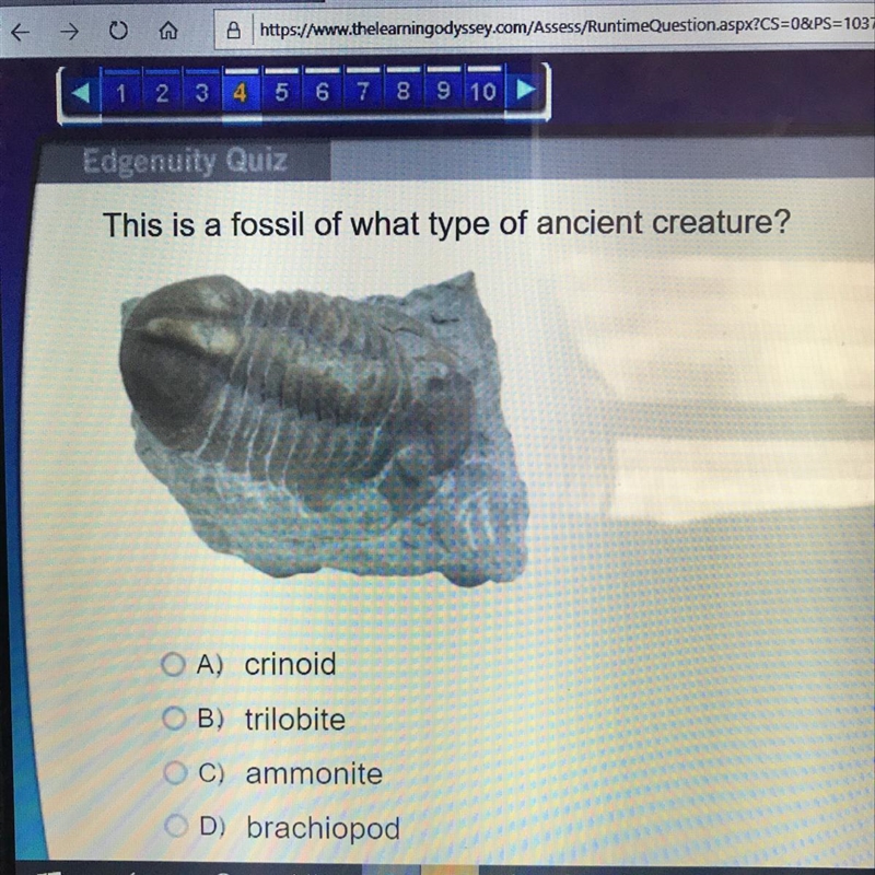 (Help Please!) This is a fossil of what type of ancient creature? A) crinoid B) trilobite-example-1