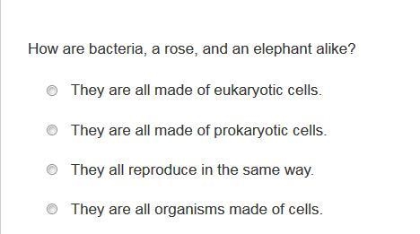 1. Which part of the cell contains the genetic instructions and information? A) pores-example-1