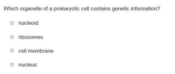 1. Which part of the cell contains the genetic instructions and information? A) pores-example-2