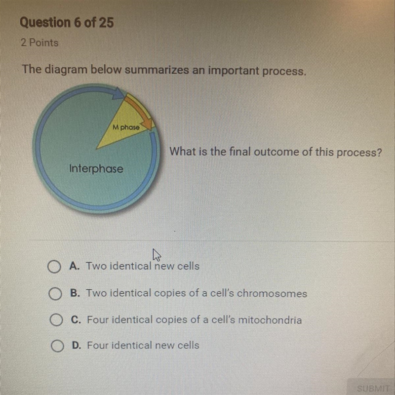 The diagram below summarizes an important process. M phase What is the final outcome-example-1