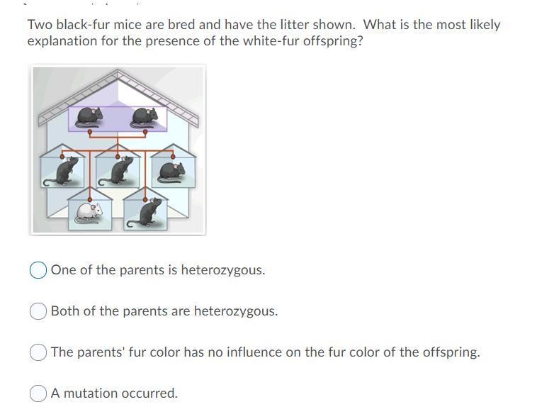 two black-fur mice are bred and have the litter shown. What is the most likely explanation-example-1