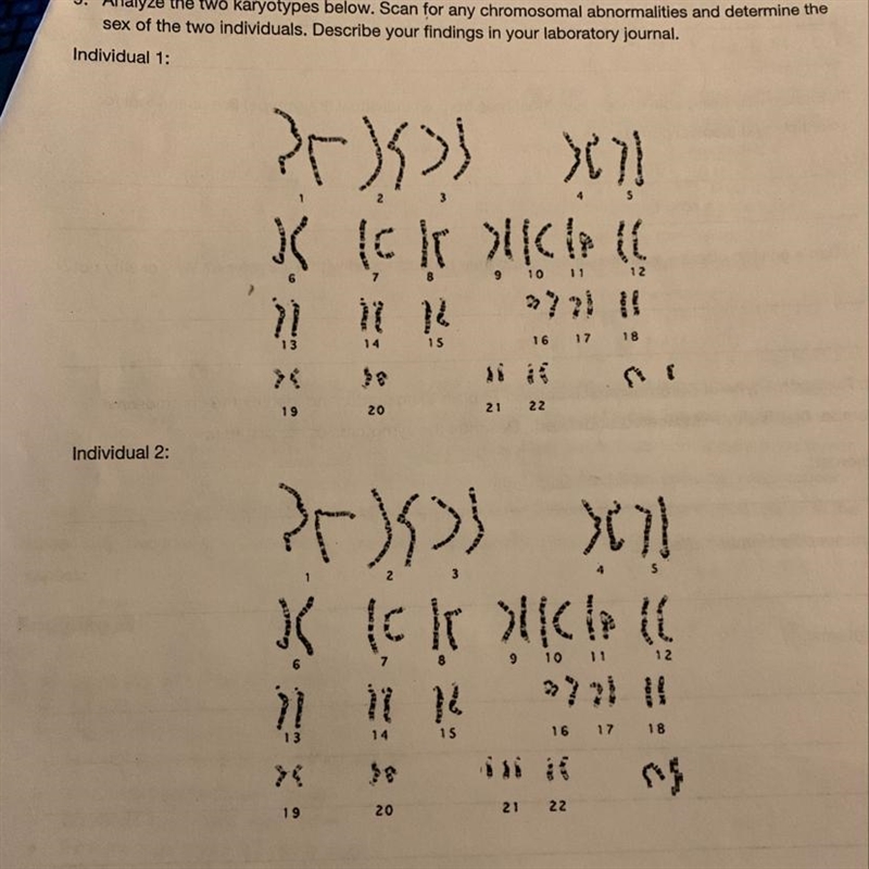 Analyze the two karyotype. Scan for any chromosomal abnormalities and determine the-example-1