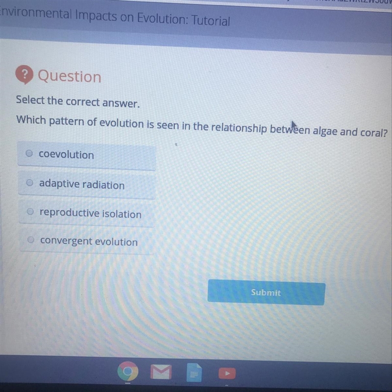 Which pattern of evolution is seen in the relationship between algae and coral ?-example-1