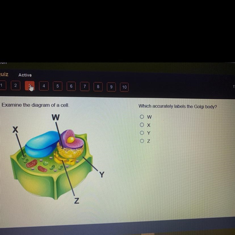 Please help me with this question-example-1