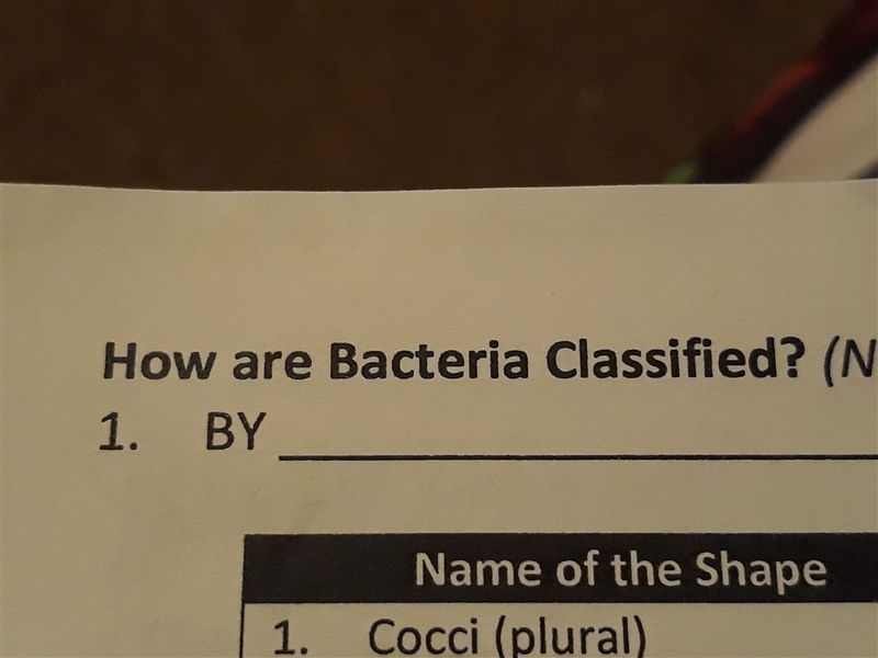 How are bacteria classified-example-1