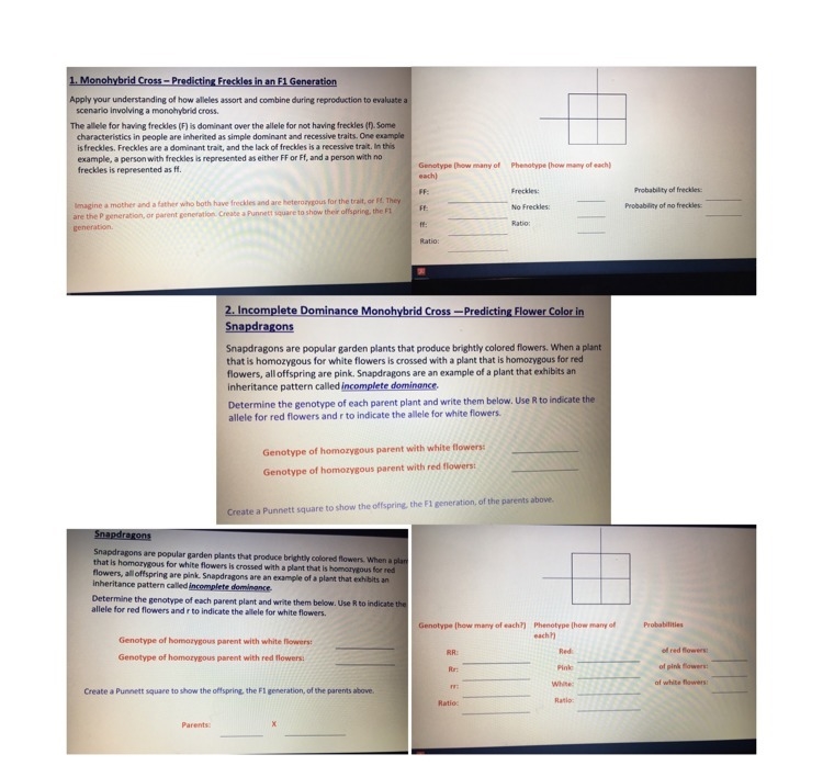 Help please !! I really don’t understand this much☹️-example-1