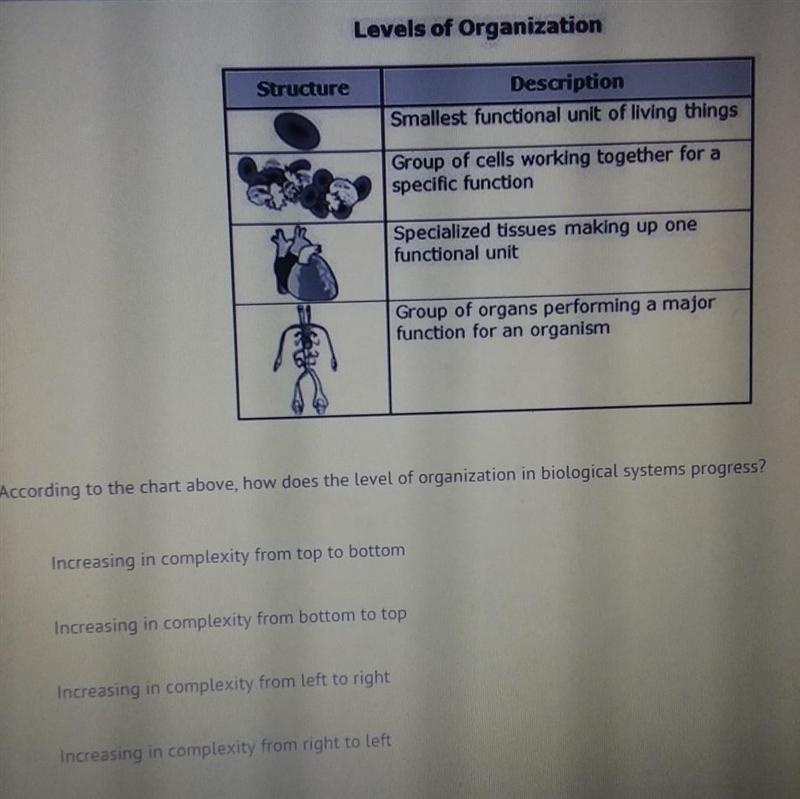 According to the chart above, how does the level of organization in biological systems-example-1