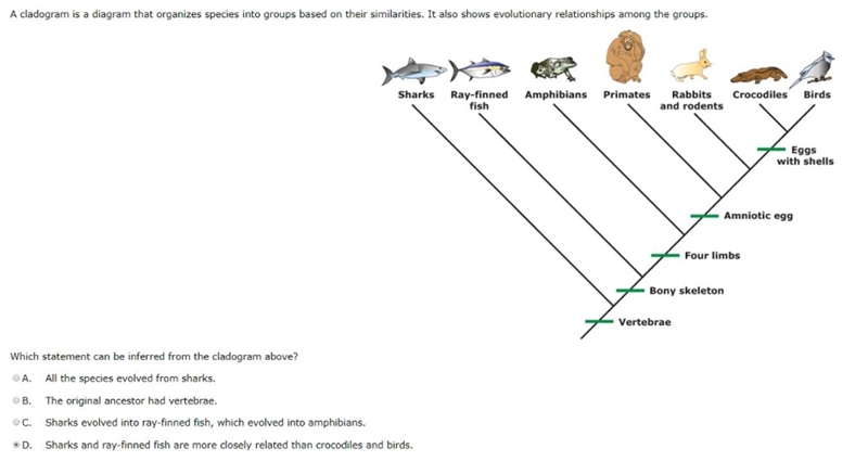 Please double check my answers! If I'm incorrect, please explain to me the correct-example-4